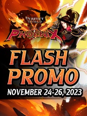 Flash Promo